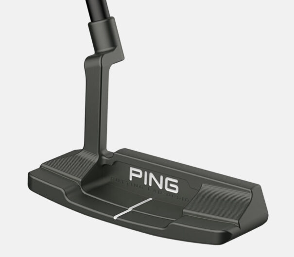 Ping Anser 2D - Image 2