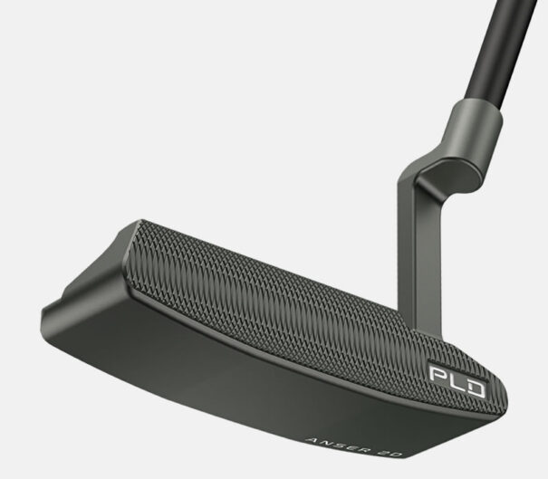 Ping Anser 2D - Image 3
