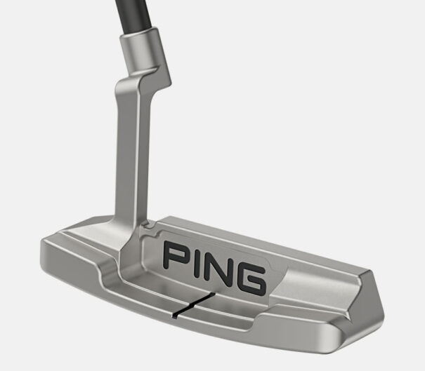 Ping Anser 2 - Image 3