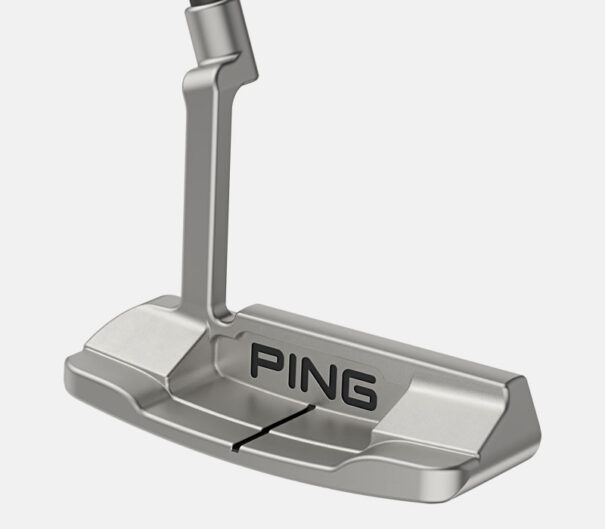 Ping Anser D - Image 3