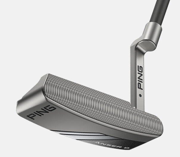 Ping Anser D - Image 4